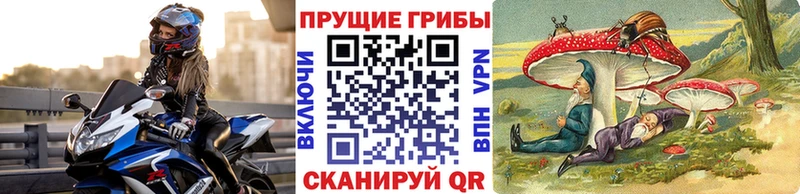 Галлюциногенные грибы MAGIC MUSHROOMS  Купить  Избербаш 